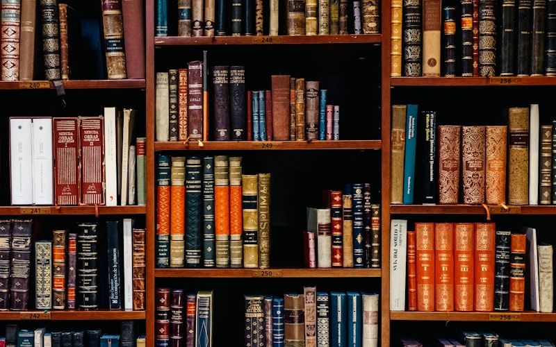 Tall shelves of old books in a law library